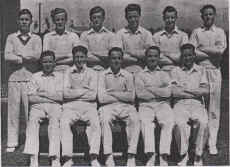 cricket1951.jpeg (141919 bytes)