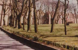 joes1984a.jpg (165962 bytes)